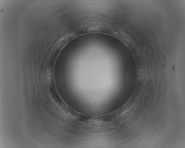 X0000073730648200608241258