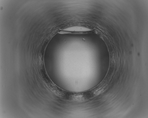 X0000073730651200608241258