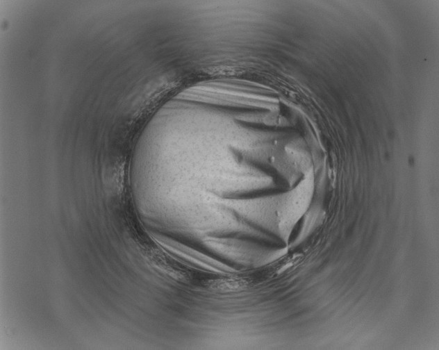 X0000073730652200608241258