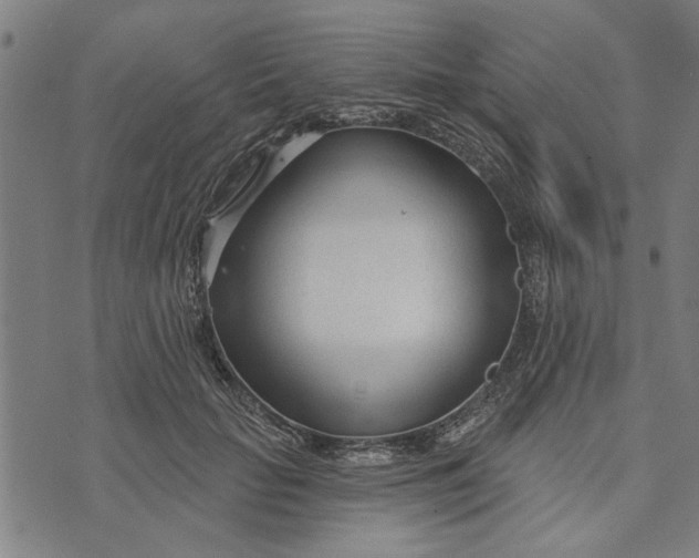 X0000073730653200608241258