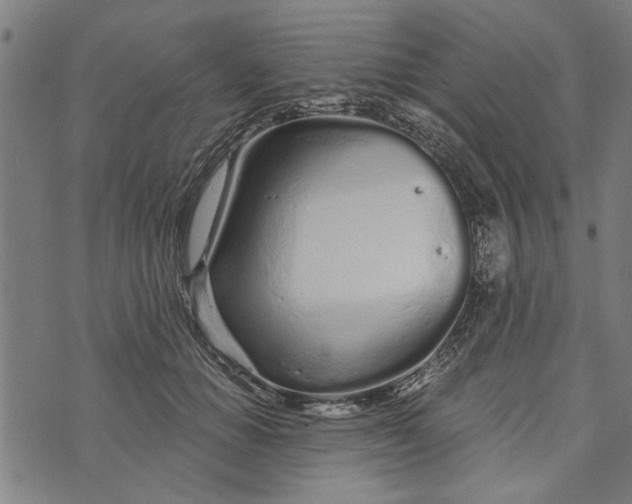 X0000073730654200608241258