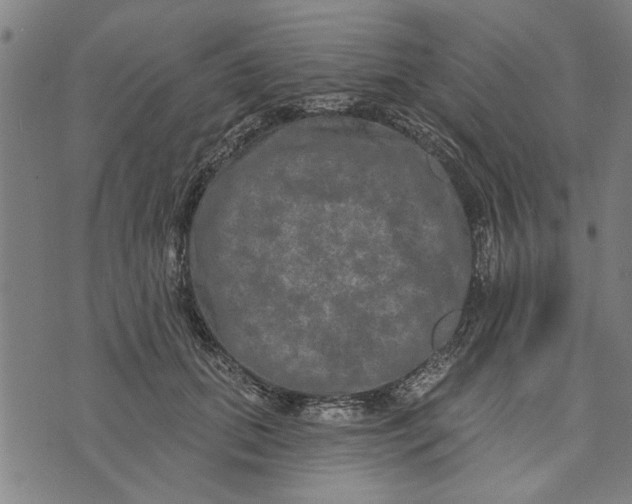 X0000073730655200608241258