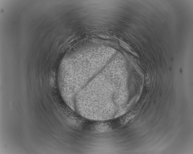 X0000073730656200608241258