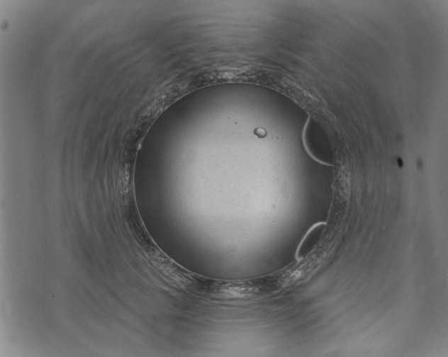 X0000073730657200608241258