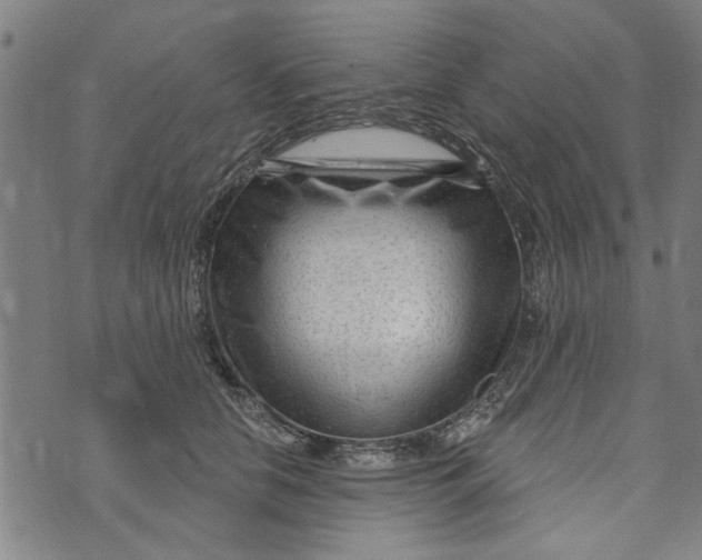 X0000073730658200608241258