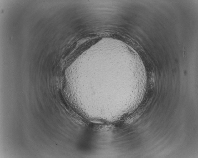 X0000073730663200608241258