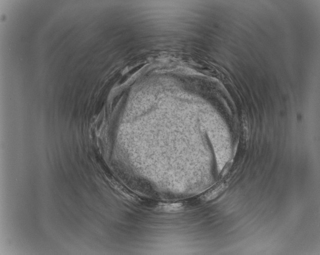 X0000073730665200608241258