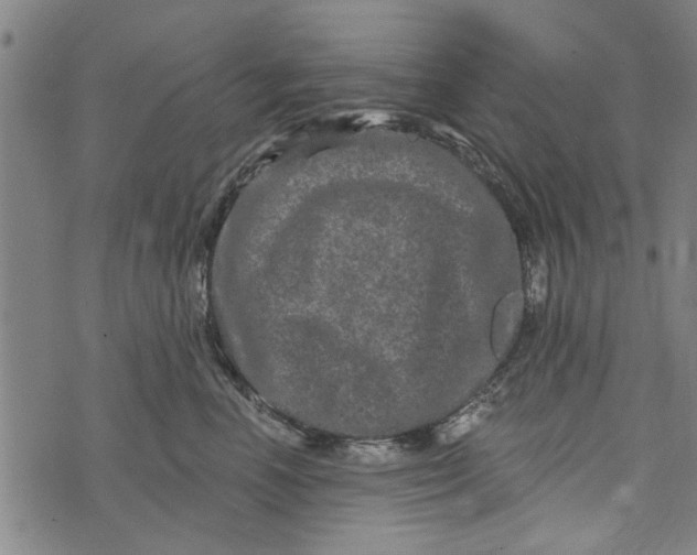 X0000073730666200608241258