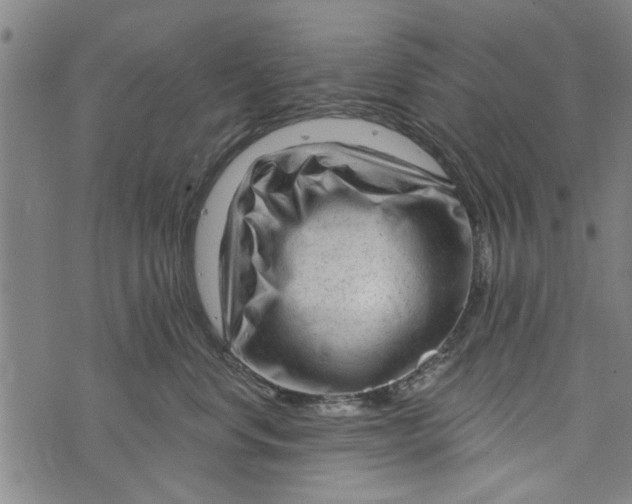 X0000073730668200608241258