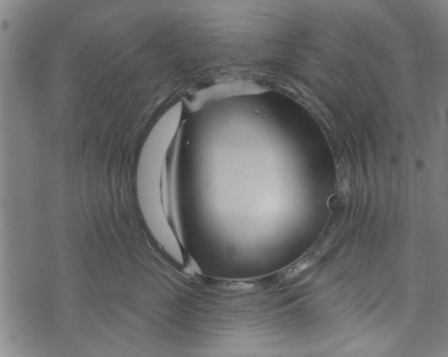 X0000073730669200608241258