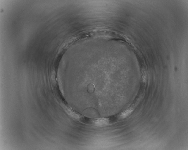 X0000073730670200608241258