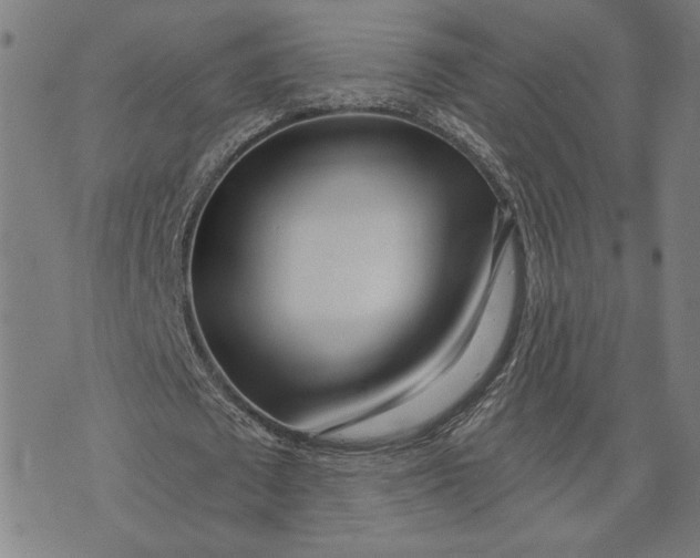 X0000073730673200608241257