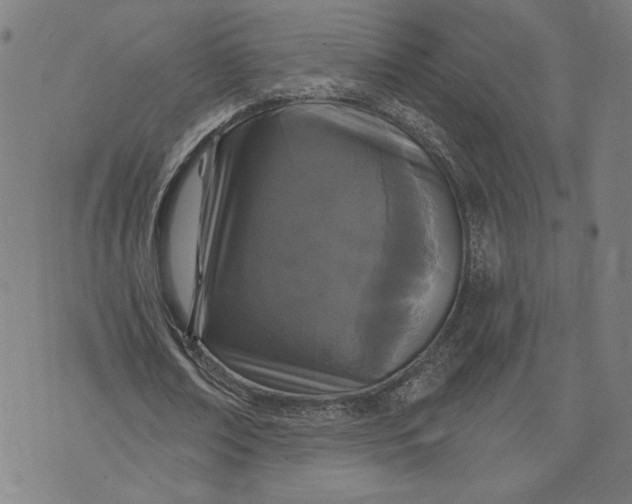 X0000073730674200608241257