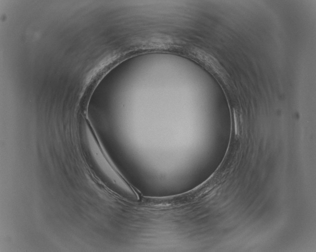 X0000073730675200608241257