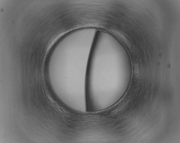 X0000073730676200608241257