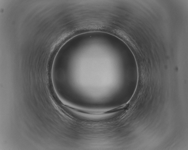 X0000073730677200608241257