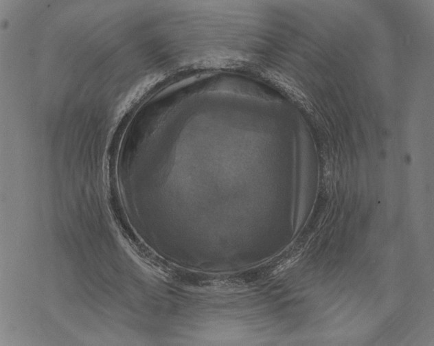 X0000073730678200608241257