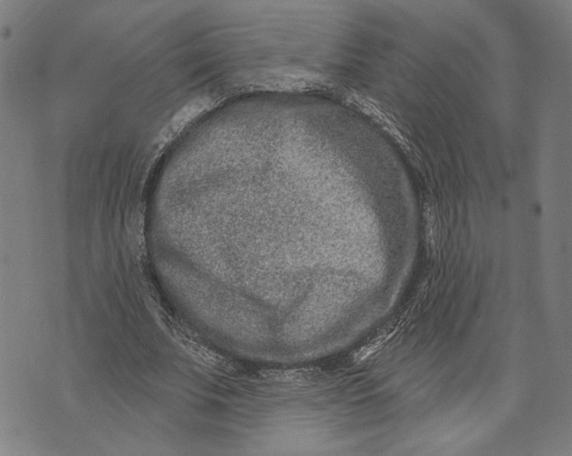 X0000073730679200608241257