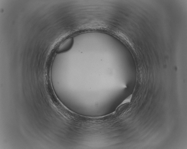 X0000073730680200608241257