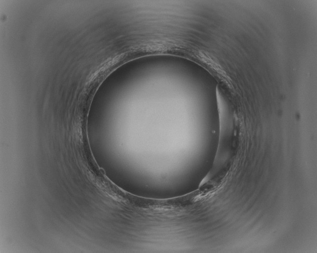 X0000073730681200608241257