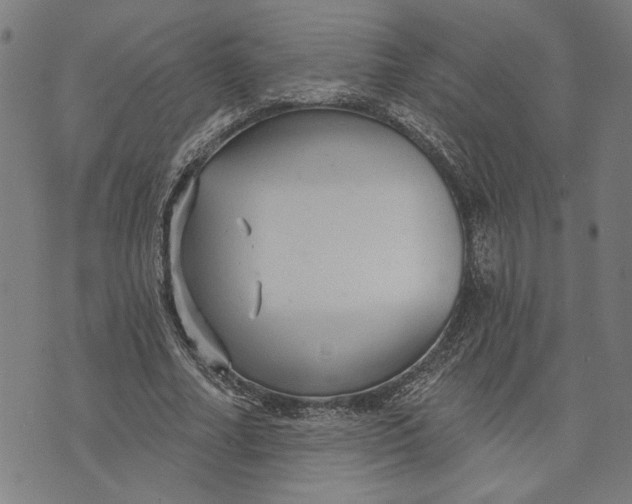 X0000073730682200608241257