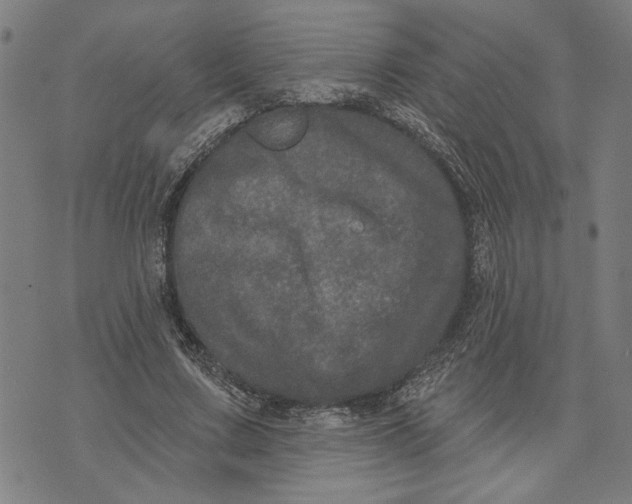 X0000073730683200608241257