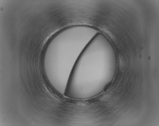 X0000073730684200608241257