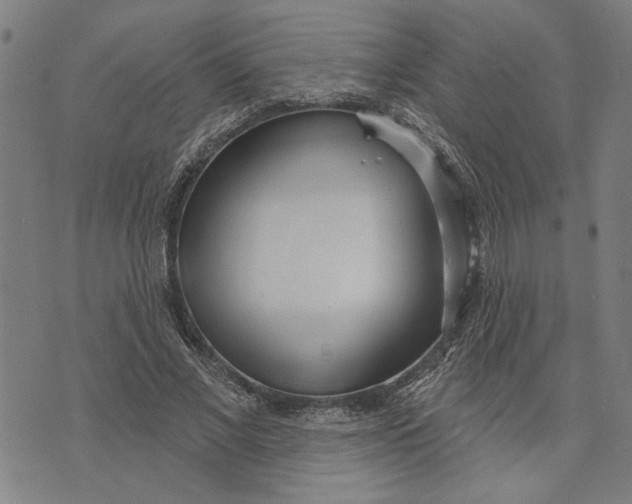 X0000073730685200608241257