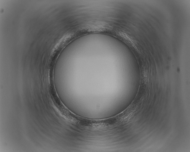 X0000073730686200608241257