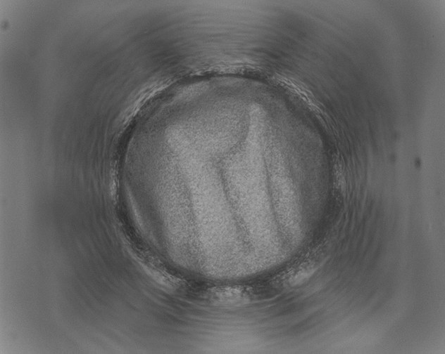 X0000073730687200608241257