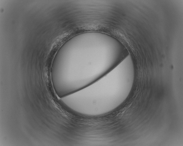 X0000073730688200608241257