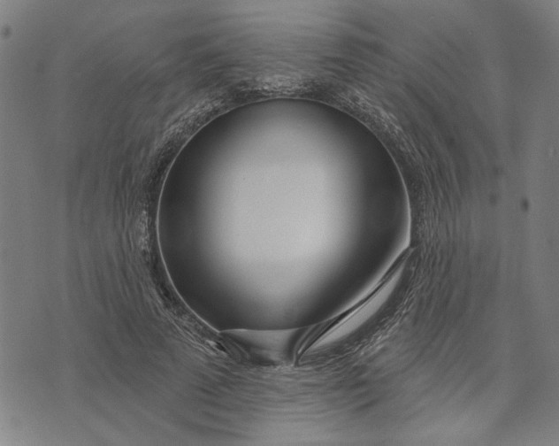 X0000073730689200608241257