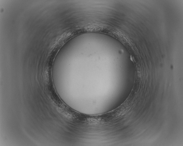 X0000073730690200608241257