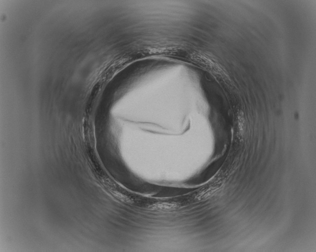 X0000073730691200608241257