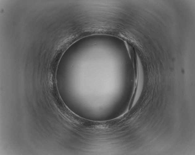 X0000073730692200608241257