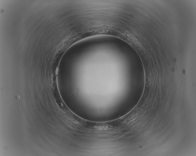 X0000073730693200608241257