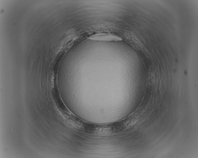 X0000073730694200608241257