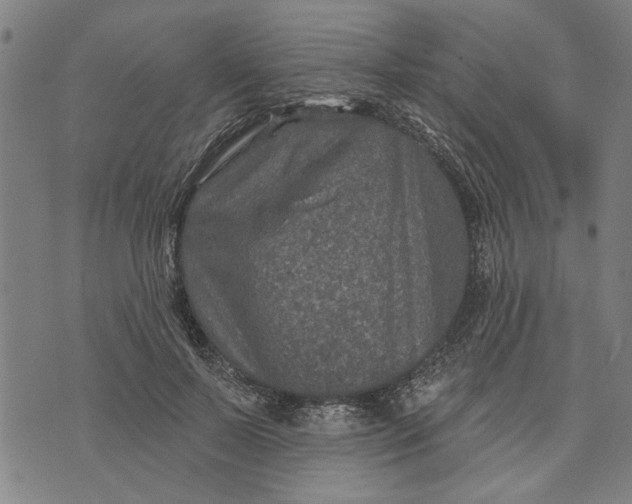 X0000073730695200608241257