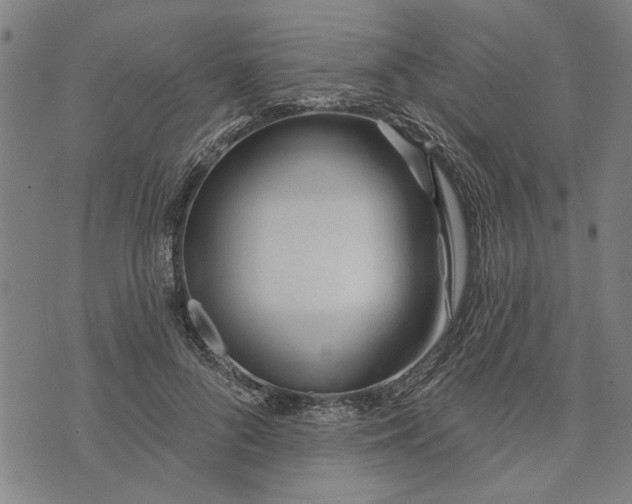 X0000073730696200608241257