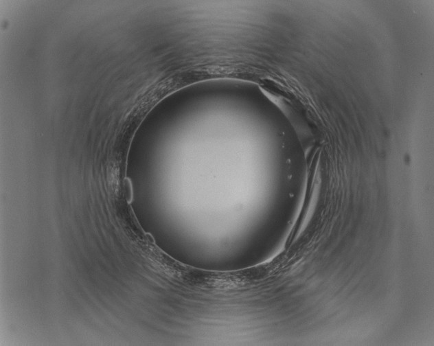 X0000073730697200608241257