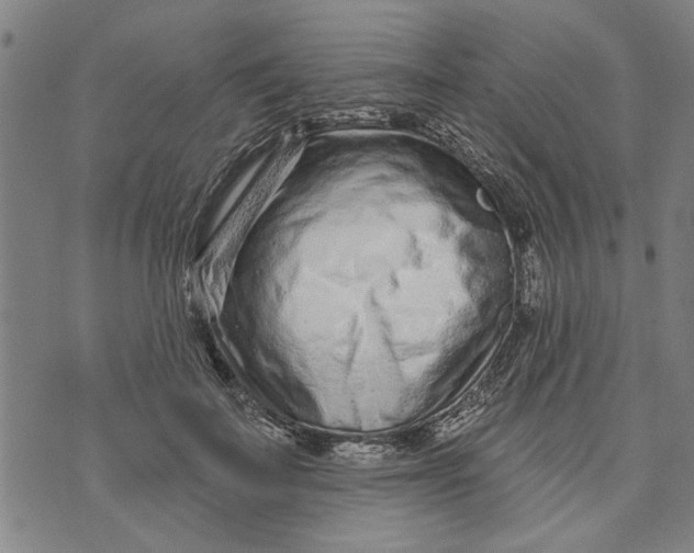 X0000073730699200608241257