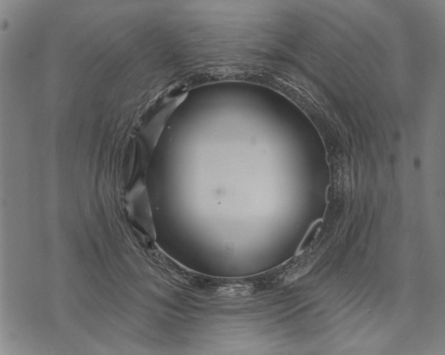 X0000073730700200608241257