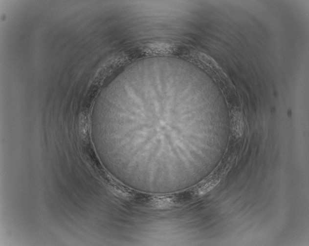 X0000073730701200608241257