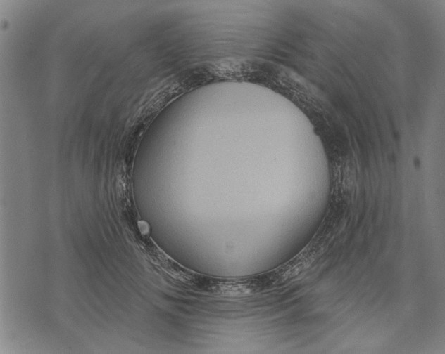 X0000073730702200608241257