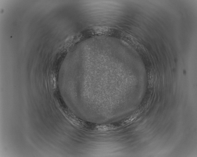 X0000073730703200608241257