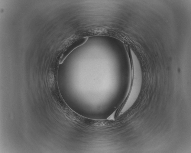 X0000073730704200608241257