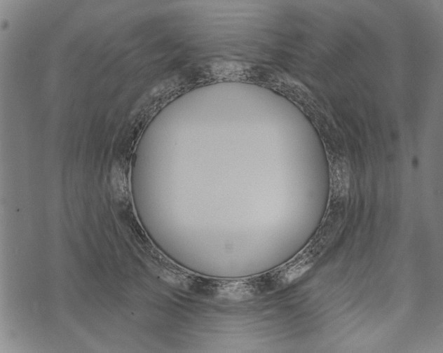 X0000073730705200608241257