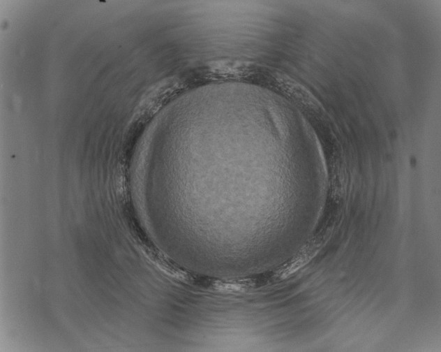 X0000073730706200608241257