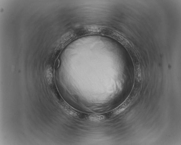 X0000073730707200608241257