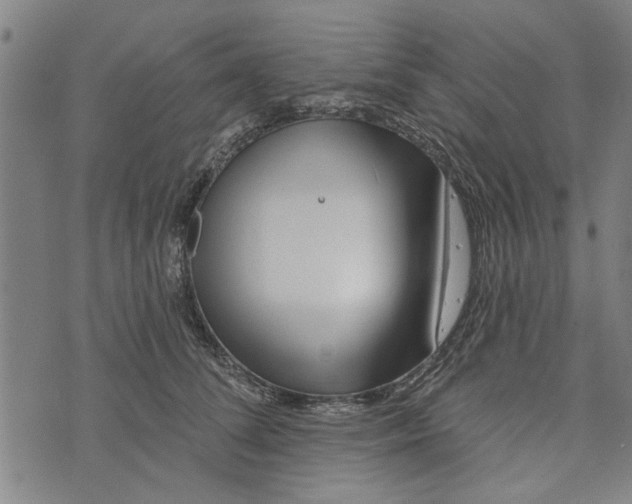 X0000073730708200608241257